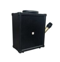 Saatvik Cube 40 - Wireless Bluetooth Portable PA System with Wireless Microphone