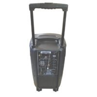 Portable PA System DTS-910